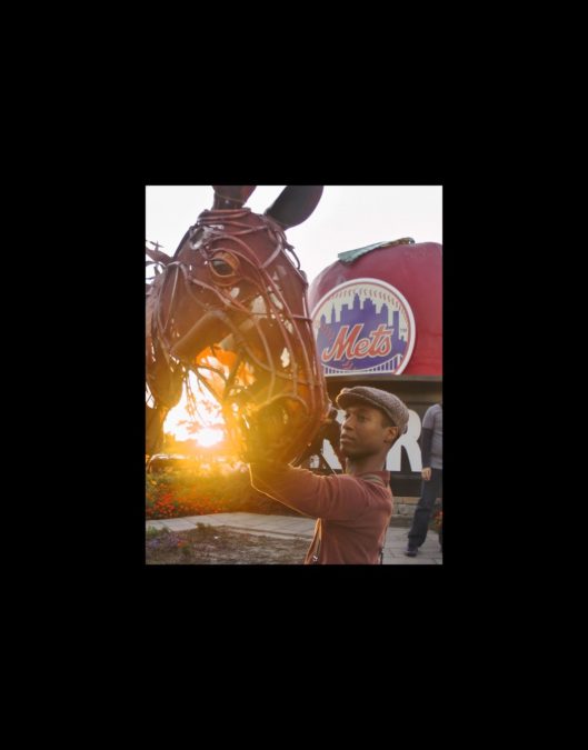 Hot Shot - War Horse at Mets Game - 9/12